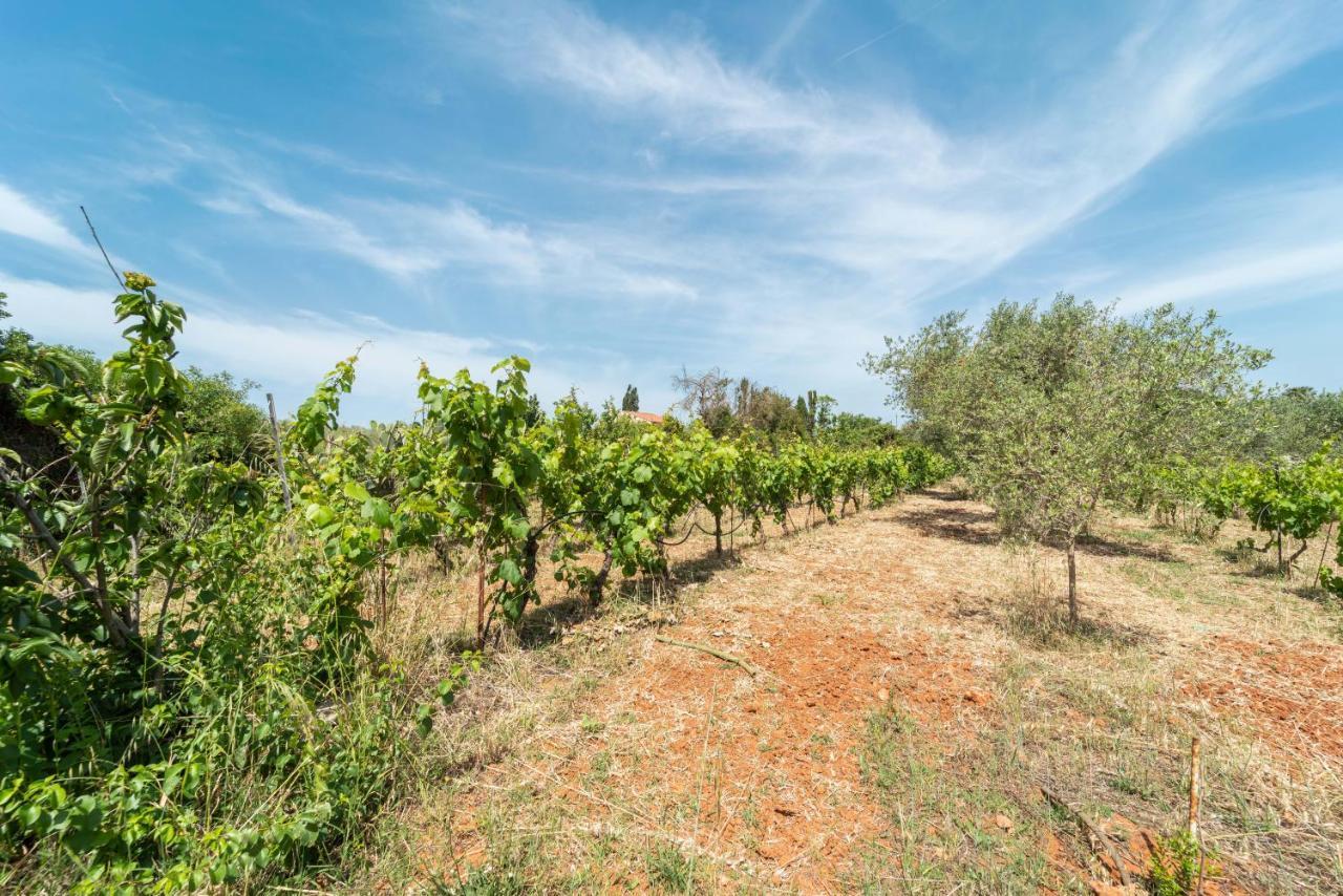 Villa Be Alghero Eksteriør bilde